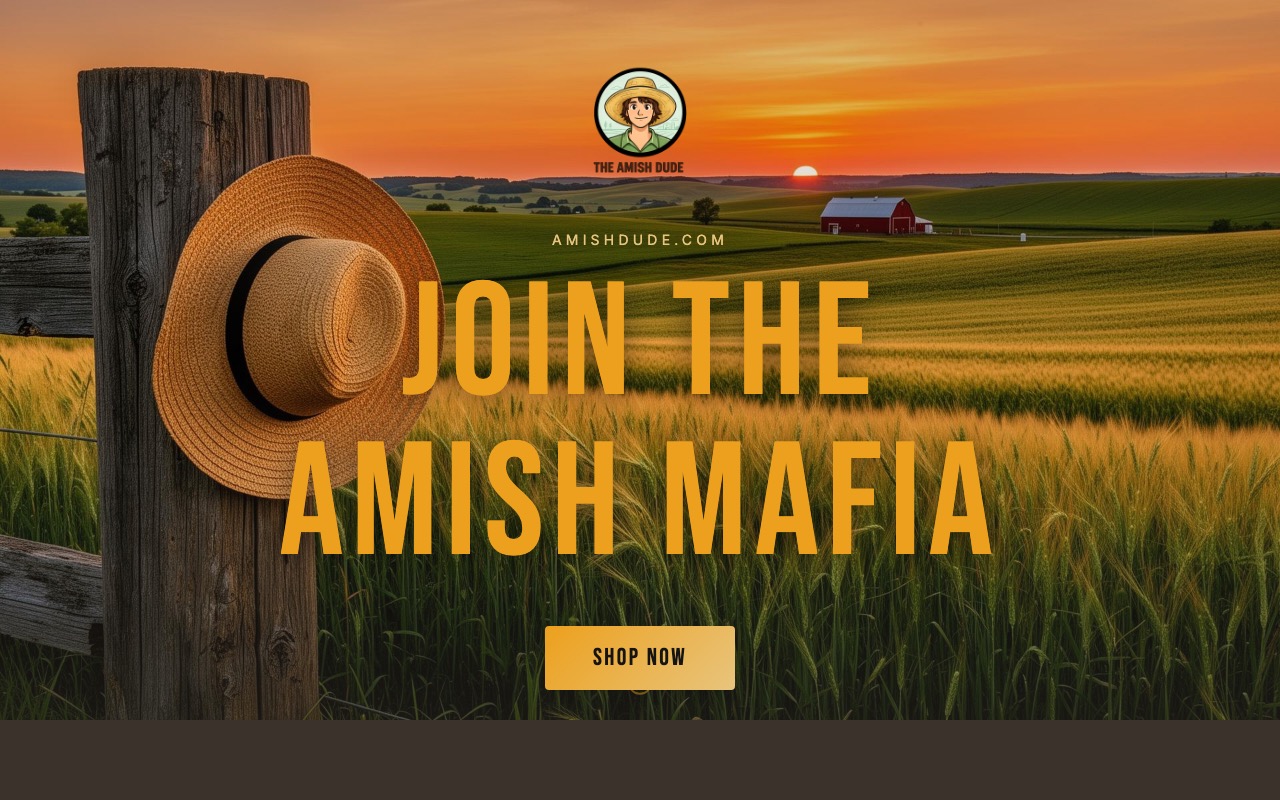 The Amish Dude site preview